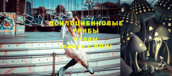 дмт Алексеевка