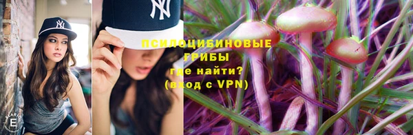 индика Красноперекопск