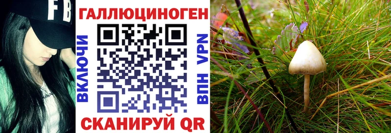 Галлюциногенные грибы мухоморы  закладки  Салават 